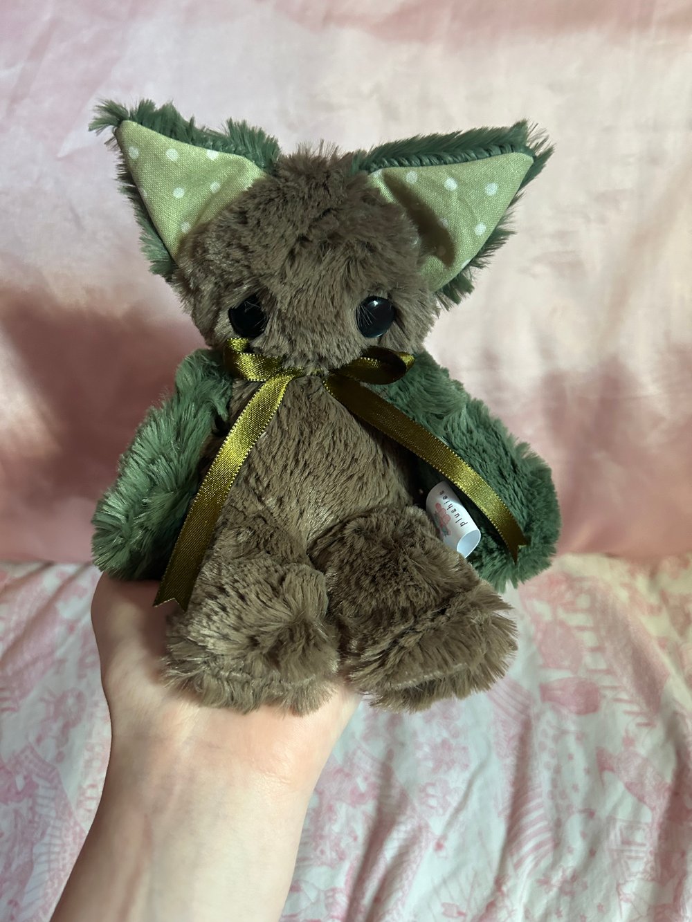 Image of oakley the kitty