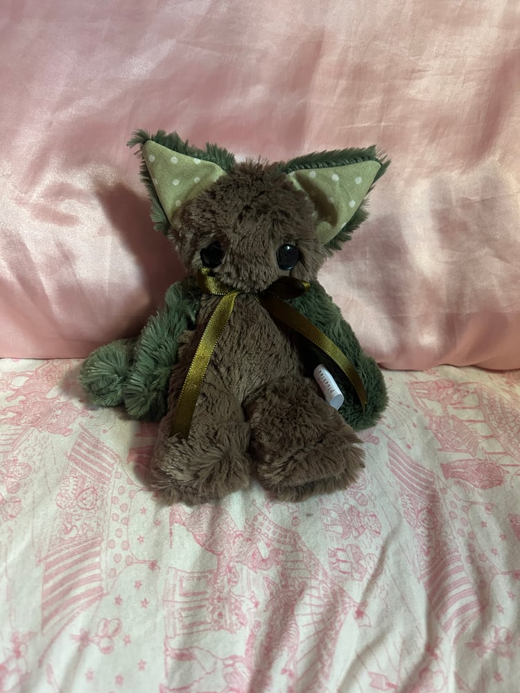 Image of oakley the kitty