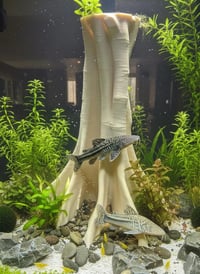 Image 1 of Decorative wooden elements for aquariums “Amazon driftwood”