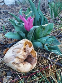 Memory, reserved for Jany!