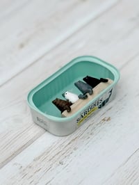 Image 3 of Sardine can with four cats