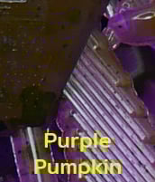 Image 14 of 5" Brush Reaper (6 Pack)