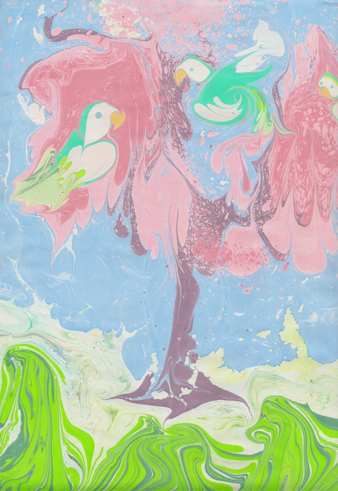 Image of Marbled Parakeets 1