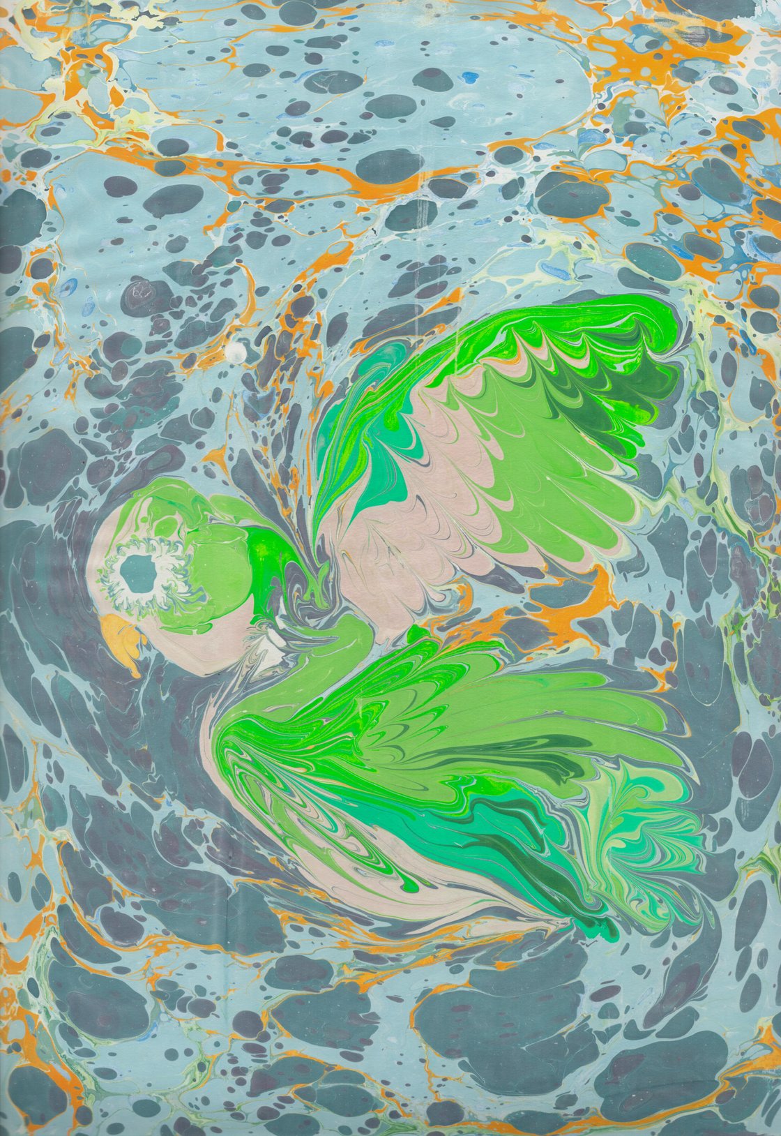 Image of Marbled Parakeets 2