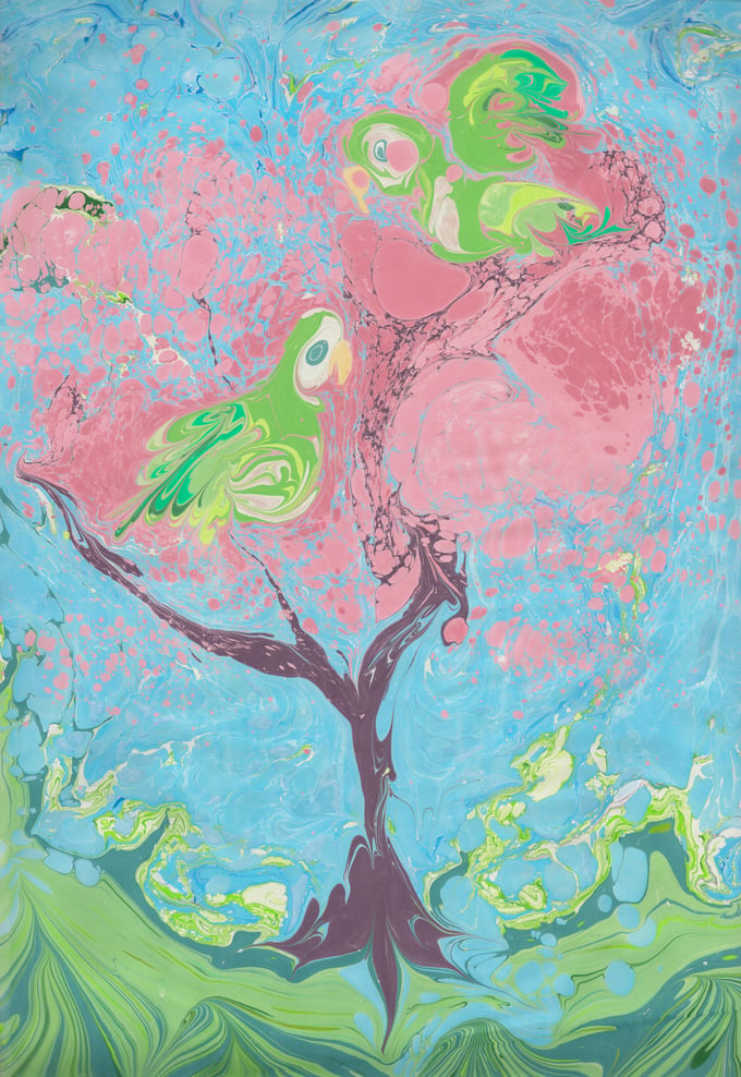 Image of Marbled Parakeets 3