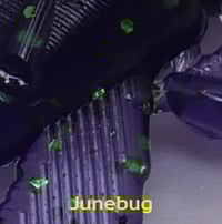 Image 16 of 3.1” BuzzCraw (8 Pack)