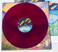 Apiary/Our Skies Smile Vinyl (Magenta) (First Press)