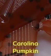 Image 20 of 3.5" AR Craw (8 Pack)