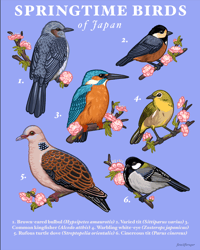 Springtime Birds of Japan Print