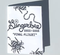 "Final Flight" Comic Zine