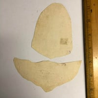 Image 2 of 80’s S&R Harley Davidson Pork chop bits