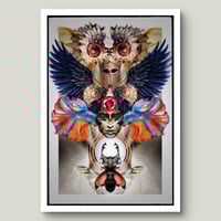 Image 2 of 'Helmet, Wings, Fish'