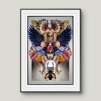 Image 3 of 'Helmet, Wings, Fish'