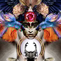 Image 4 of 'Helmet, Wings, Fish'