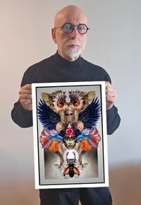 Image 5 of 'Helmet, Wings, Fish'