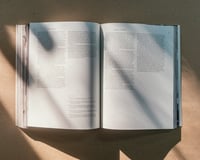 Image 5 of Gaze Studies