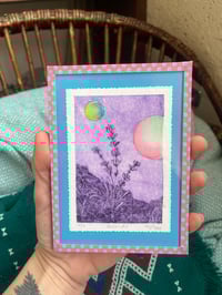Image 2 of Gravure Lavande avec fond coloré