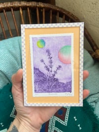 Image 4 of Gravure Lavande avec fond coloré