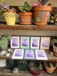 Image 1 of Gravure Lavande