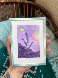 Image 2 of Gravure Lavande