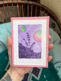 Image 3 of Gravure Lavande