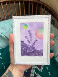 Image 4 of Gravure Lavande