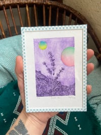 Image 5 of Gravure Lavande