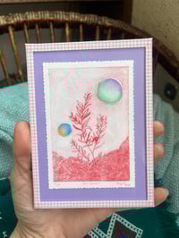 Image 3 of Gravure Romarin sur fond coloré