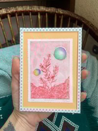 Image 4 of Gravure Romarin sur fond coloré