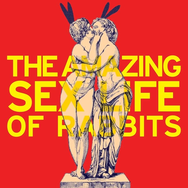 The Amazing Sex Life of Rabbits