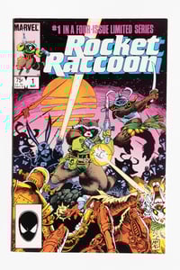 Image 1 of Rocket Raccoon 1