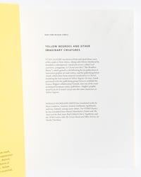 Image 2 of Yellow Negroes and Other Imaginary Creatures by Yvan Alagbé