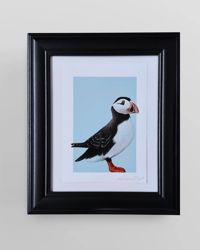 Image 1 of Puffin, Puffin Print, Art Print, A5 Print, Wall Art, Home Decor