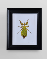 Image 2 of Leaf Insect, Art Print, A5 Print, Insect Design, Wall Art, Home Decor