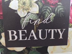 Image of Find Beauty