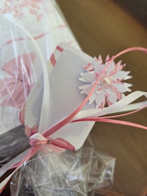 Image of Beautiful Bows- Pink