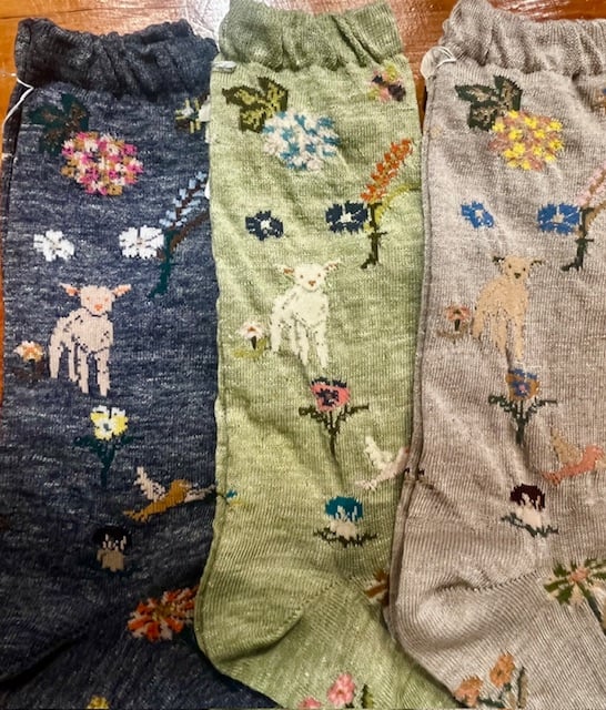 Antipast SS'26 Socks! - Image 5 of 5