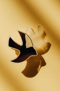 Image 7 of Brož Pod Křídly