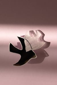 Image 5 of Brož Pod Křídly