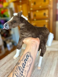 Image 4 of Coal the Foal