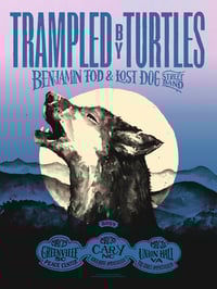 Image 1 of Trampled by Turtles - May 2024