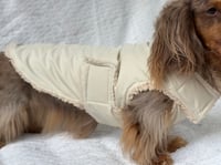 Image 1 of Taupe Raincoat Chest Cover Coat 