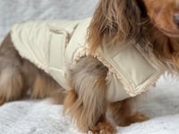 Image 2 of Taupe Raincoat Chest Cover Coat 
