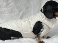 Image 2 of White Vinyl Raincoat Chest Cover Coat 