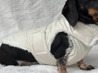 Image 6 of White Vinyl Raincoat Chest Cover Coat 