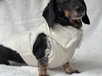 Image 3 of White Vinyl Raincoat Chest Cover Coat 