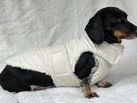 Image 1 of White Vinyl Raincoat Chest Cover Coat 