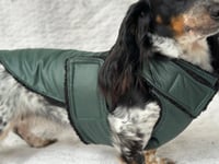 Image 3 of Green Raincoat Chest Cover Coat