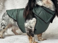 Image 4 of Green Raincoat Chest Cover Coat