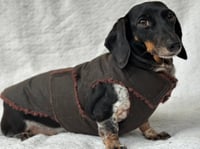 Image 4 of Oilskin Chest Cover Coat